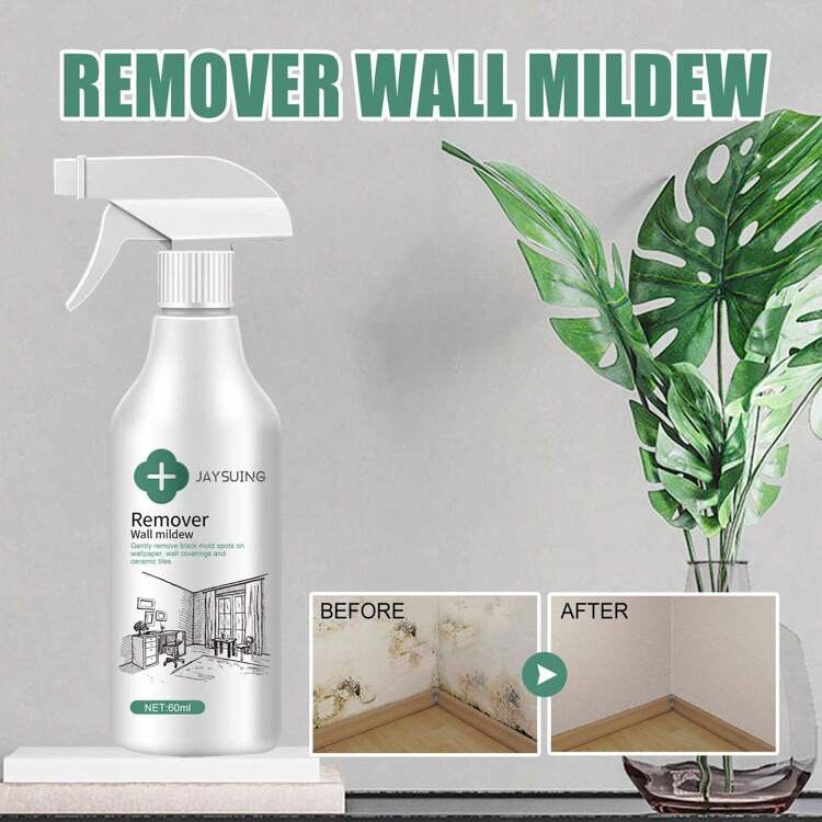 Remover wall mildew