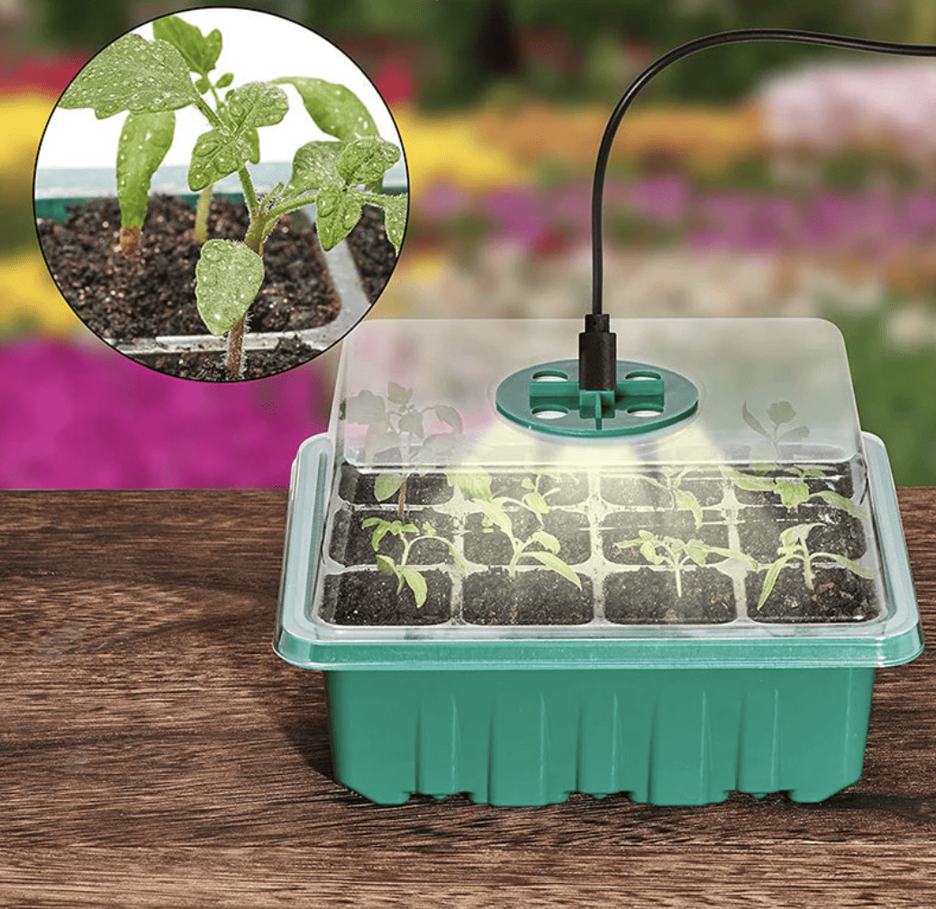 Лотки для насіння